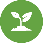 White icon of a sprouting plant with two leaves growing from a small mound of soil, centered on a green circular background.